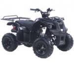 Квадроцикл ATV110U 